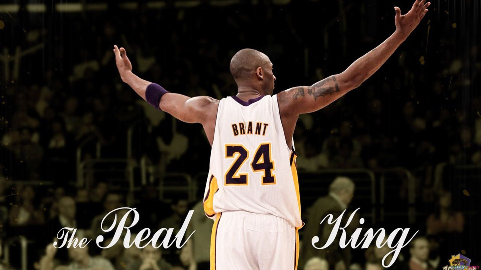 霓虹赛道上的涅槃,布伦森如何在新加坡的夜色中完成自我救赎